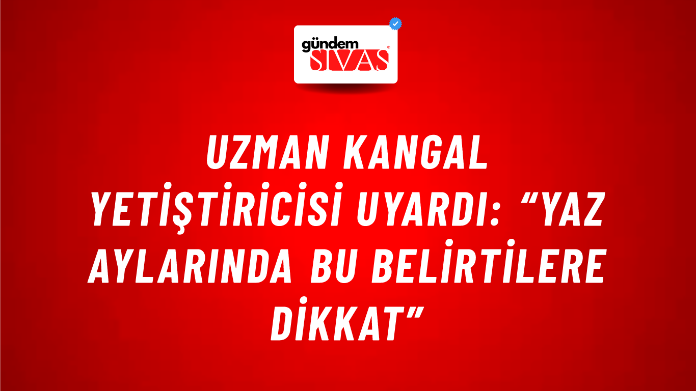 Uzman Kangal Yetiştiricisi Uyardı: “Yaz Aylarında Bu Belirtilere Dikkat”