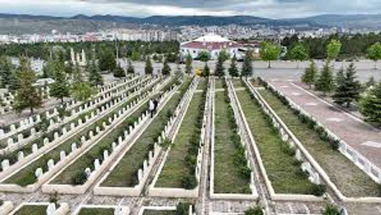 Ağaçlarla çevrili bir mezarlık alanı, mezar taşları sıralı olarak yer alıyor.