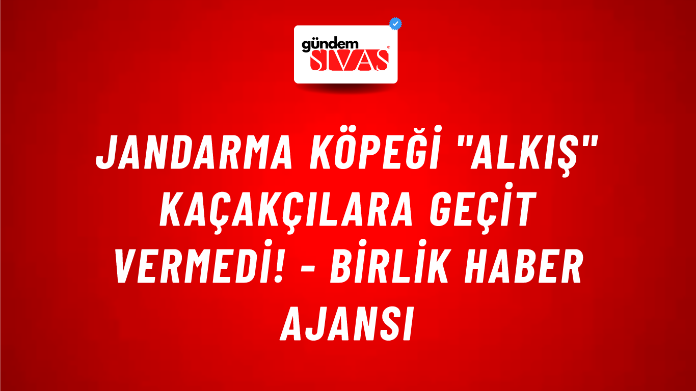 Jandarma köpeği "Alkış" kaçakçılara geçit vermedi! - Birlik Haber Ajansı