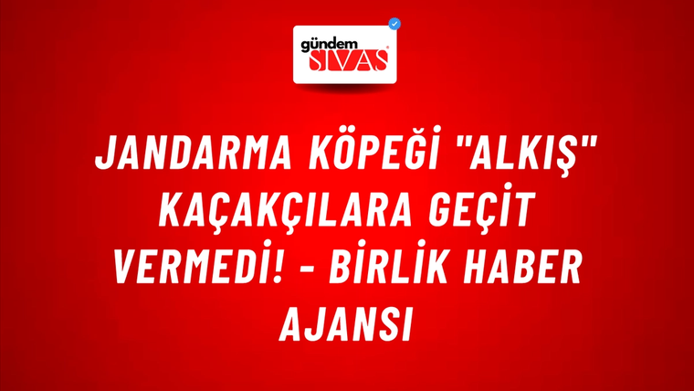 Jandarma köpeği "Alkış" kaçakçılara geçit vermedi! - Birlik Haber Ajansı