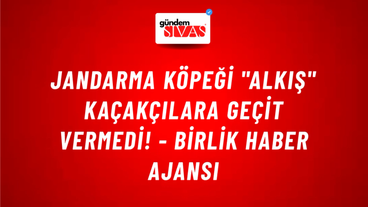 Jandarma köpeği "Alkış" kaçakçılara geçit vermedi! - Birlik Haber Ajansı
