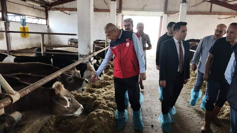 Bir grup insan, süt ineklerinin bulunduğu ahırda incelemeler yapıyor.