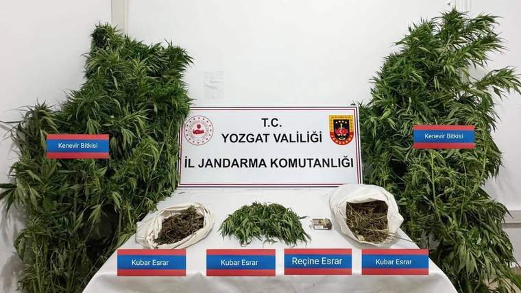Uyuşturucu Operasyonu: 25 Kök Kenevir ve Esrar Ele Geçirildi