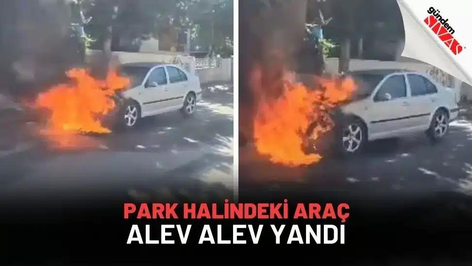 Park Halindeki Araç Alev Alev Yandı