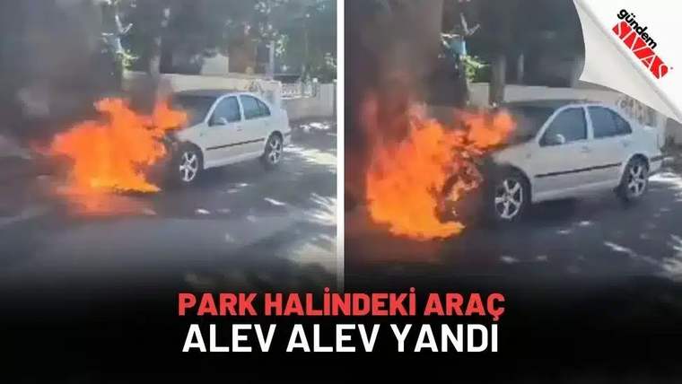 Park Halindeki Araç Alev Alev Yandı