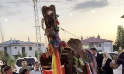 Sivas'ta Düğünde Asırlık Türkmen Geleneği Yaşatıldı!