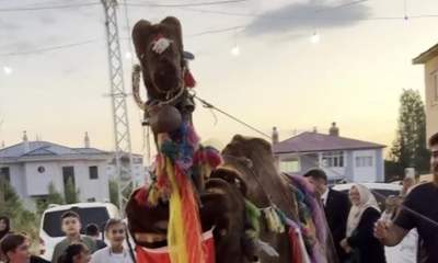 Sivas'ta Düğünde Asırlık Türkmen Geleneği Yaşatıldı!