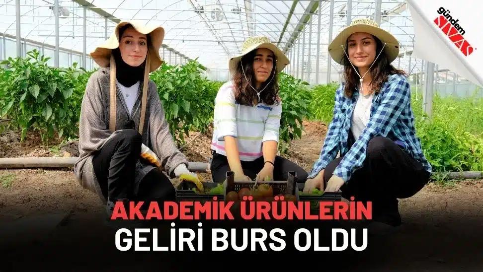 Akademik Ürünlerin Geliri Burs Oldu