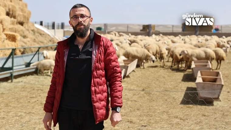 Koyunların bulunduğu bir alanda, kırmızı mont giymiş bir kişi duruyor.