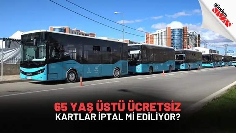 Mavi ve beyaz renklerde belediye otobüsleri, bir yol kenarında sıralanmış.