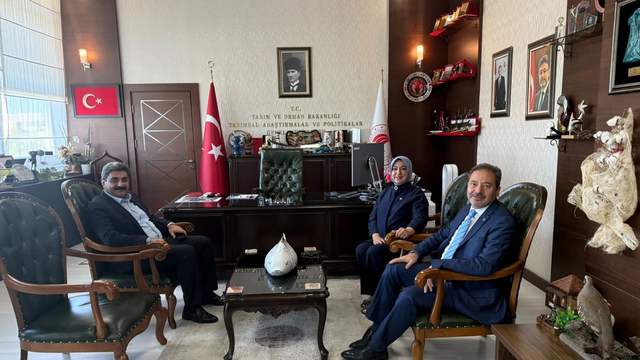 Pamukpınar İçin Dikkat Çeken Gelişme