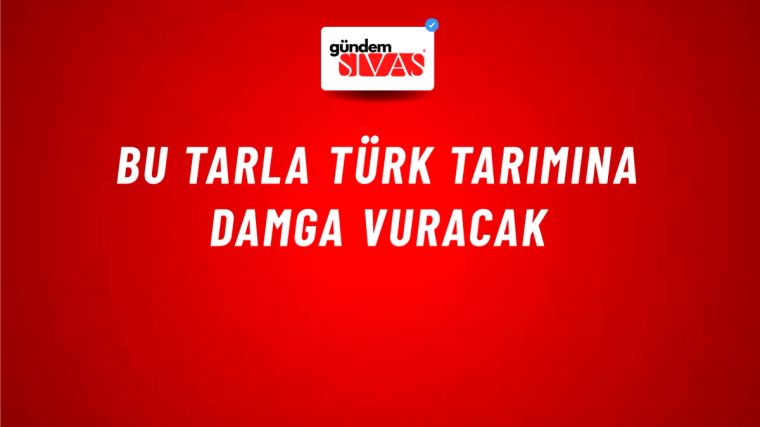 Bu Tarla Türk Tarımına Damga Vuracak