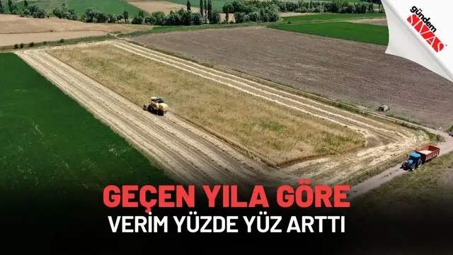 Geçen Yıla Göre Verim Yüzde Yüz Arttı