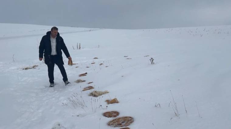 Karla kaplı arazide, bir kişi yaban hayvanları için bırakılmış yiyeceklerin yanındadır.