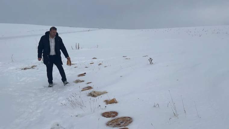 Karla kaplı arazide, bir kişi yaban hayvanları için bırakılmış yiyeceklerin yanındadır.