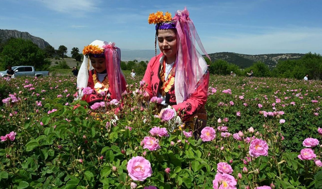 Isparta Uluslararası Gül Festivali 2025: Güller diyarında büyüleyici bir deneyim - Birlik Haber Ajansı