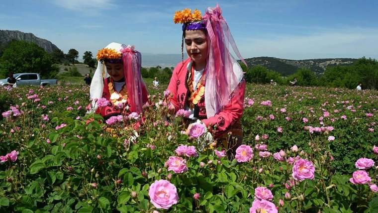 Isparta Uluslararası Gül Festivali 2025: Güller diyarında büyüleyici bir deneyim - Birlik Haber Ajansı