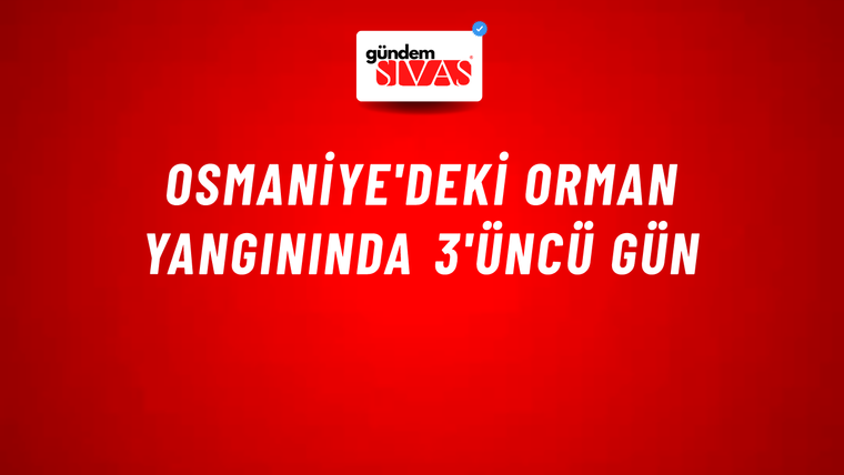 Osmaniye'deki orman yangınında 3'üncü gün
