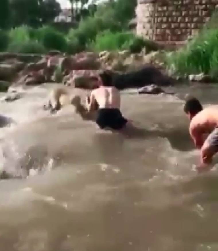 Bulanık akarsu içinde iki kişi, suyun ortasındaki açık renkli bir köpeğe doğru eğiliyor.