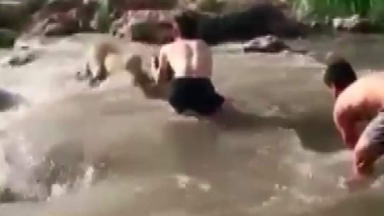 Sivas'ta Irmakta Mahsur Kalan Anne Köpek, Yiğitler Tarafından Kurtarılarak Yavrularına Kavuştu