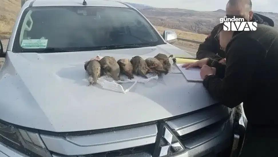 Sivas'ta 4 Kaçak Avcıya Ceza Yağdı
