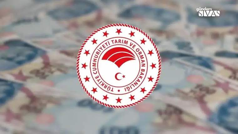 Bakanlık'tan 1.2 Milyar TL Sosyal Yardım