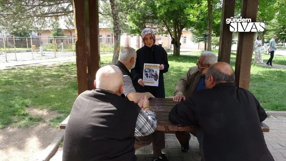 Kaybolan Kedisi için Para Ödülü