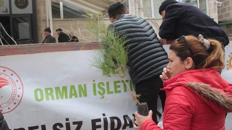 Kırmızı montlu bir kadın, küçük bir çam fidanını tutarken arkasında orman işletmesine ait pankart görülüyor.