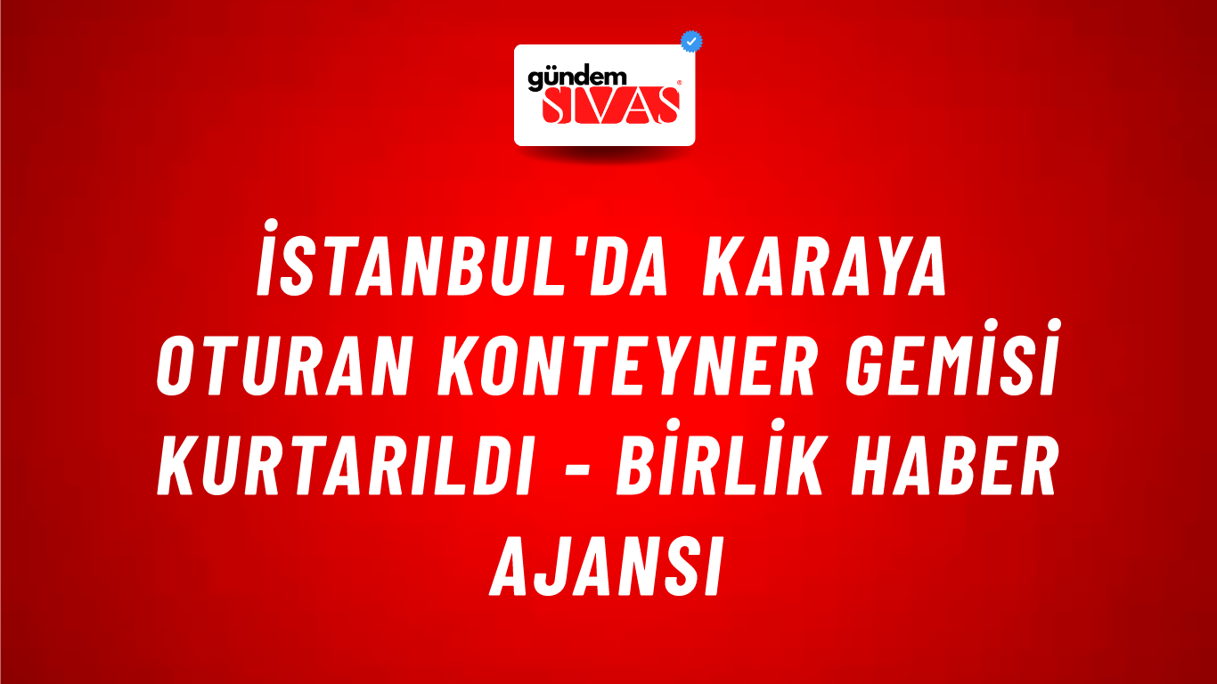 İstanbul'da karaya oturan konteyner gemisi kurtarıldı - Birlik Haber Ajansı