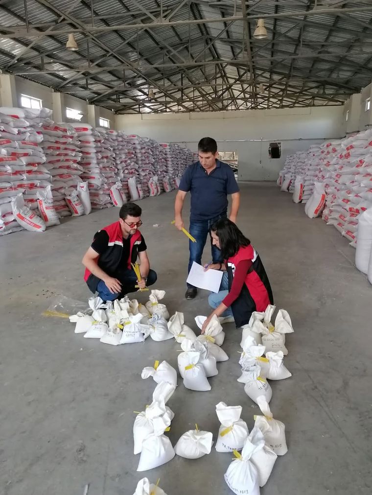 Sivas'ta Sertifikalı Tohumluk Hububat Üreticilerine Analiz Desteği