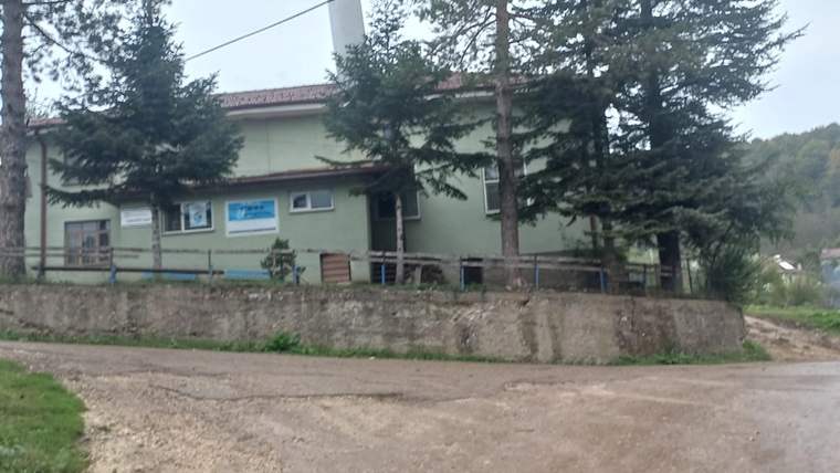 Ağaçlarla çevrili iki katlı yeşil bina, taş duvarın arkasında toprak yolun yanında görülüyor.