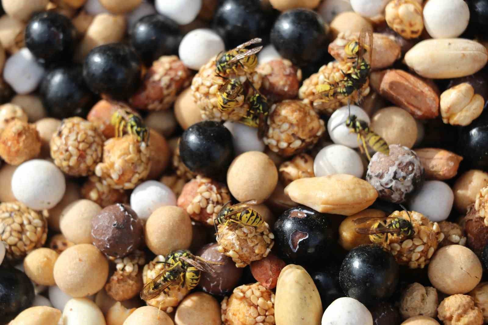 Sivas’ta Yaban Arıları Tezgâhları Sardı
