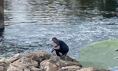 Sivas'ta Toplu Balık Ölümlerinin Nedeni: Aşırı Sıcaklar ve Oksijen Azlığı