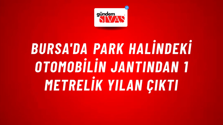 Bursa'da Park Halindeki Otomobilin Jantından 1 Metrelik Yılan Çıktı