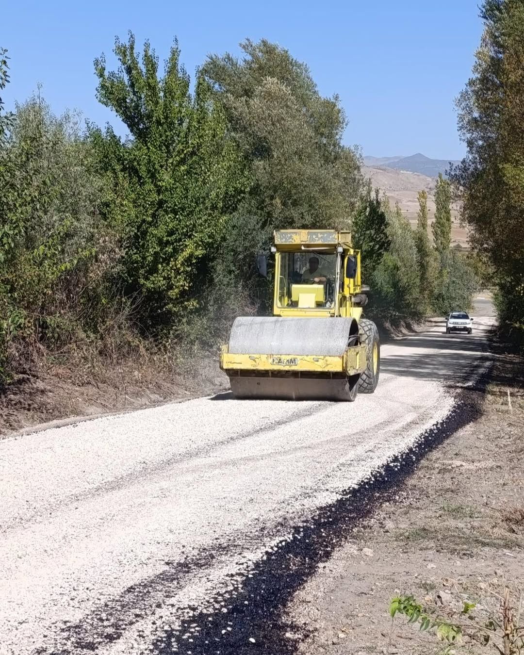 Sarı bir yol silindiri, ağaçlarla çevrili stabilize yolda ilerlerken arkasında beyaz bir otomobil görülüyor.