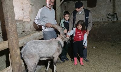 Sivas'ta Kahraman Çoban, Yaralı Dağ Keçisine Şefkat Elini Uzattı