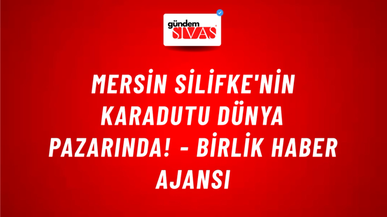 Mersin Silifke'nin karadutu dünya pazarında! - Birlik Haber Ajansı
