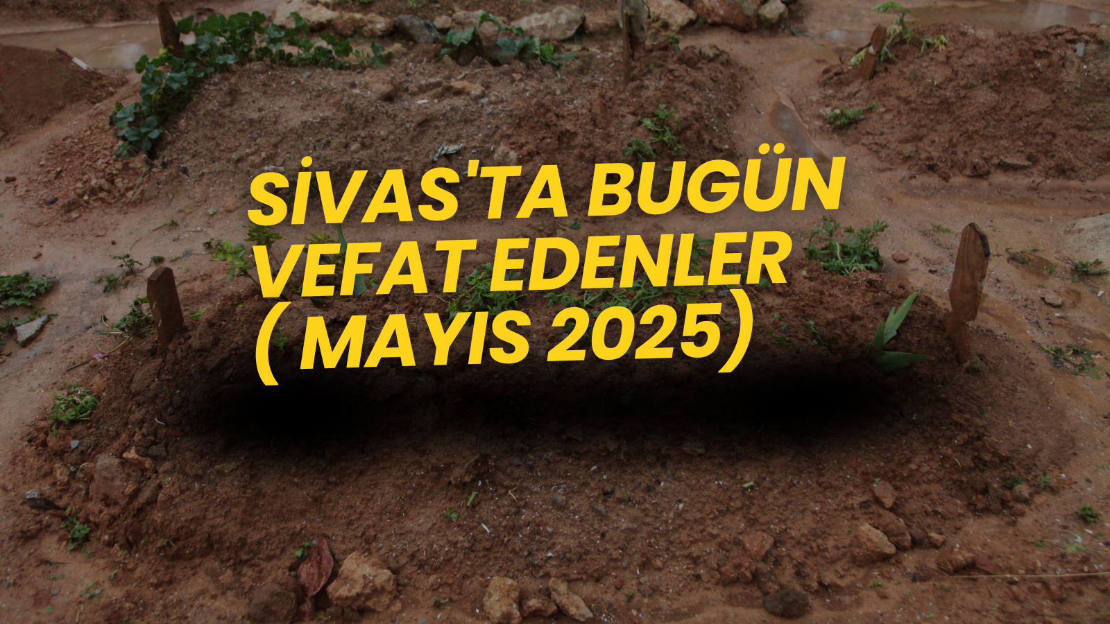 Toprağa gömülmüş mezarların bulunduğu bir alan, mezar taşları görünmekte.