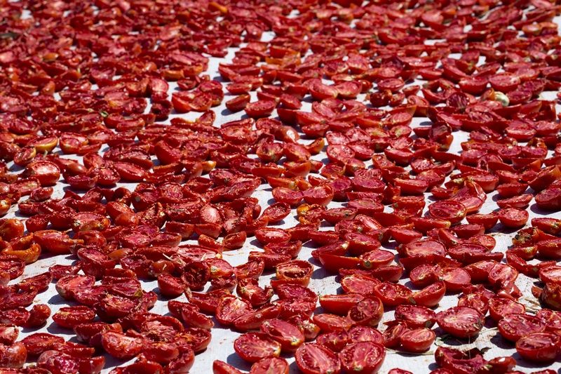 Kuru domates ihracatı 127 milyon doları aştı - Birlik Haber Ajansı