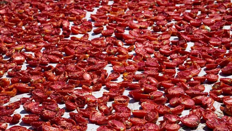 Kuru domates ihracatı 127 milyon doları aştı - Birlik Haber Ajansı