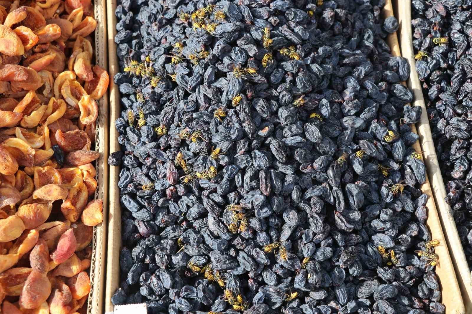 Sivas’ta Yaban Arıları Tezgâhları Sardı