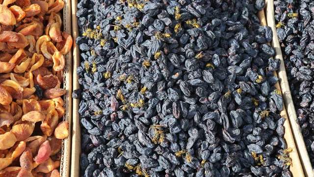 Sivas’ta Yaban Arıları Tezgâhları Sardı