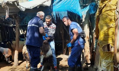 Sivas'ta Küçükbaş Hayvan Sağlığı için Kapsamlı Çalışma