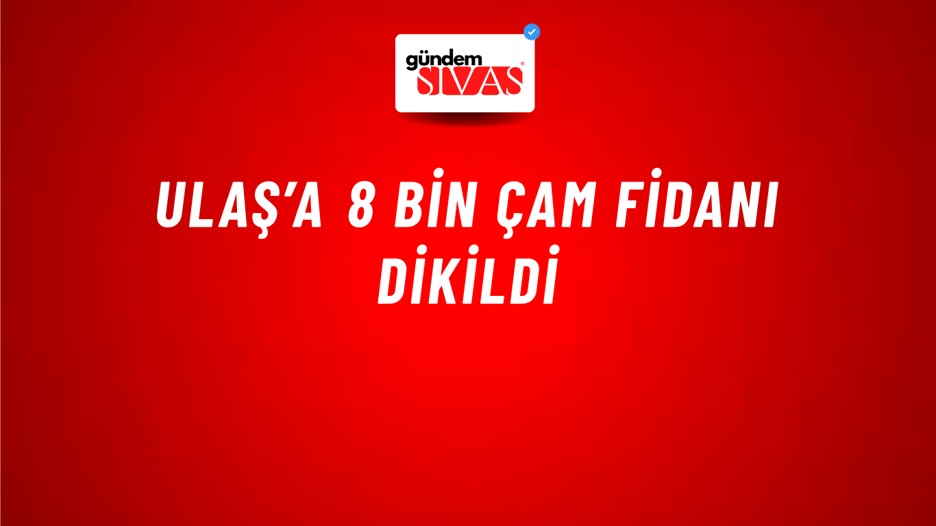 Ulaş’a 8 Bin Çam Fidanı Dikildi