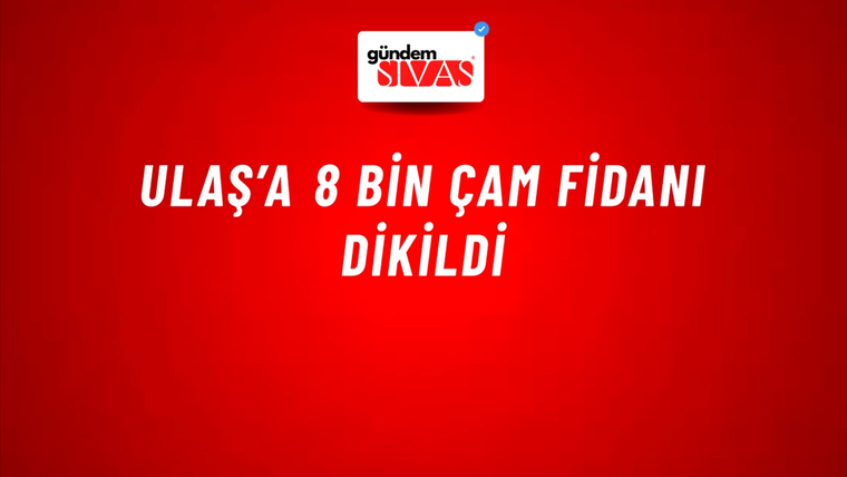 Ulaş’a 8 Bin Çam Fidanı Dikildi