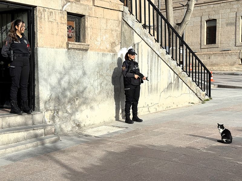 Polisleri Nöbette Yalnız Bırakmayan Kedi - Birlik Haber Ajansı