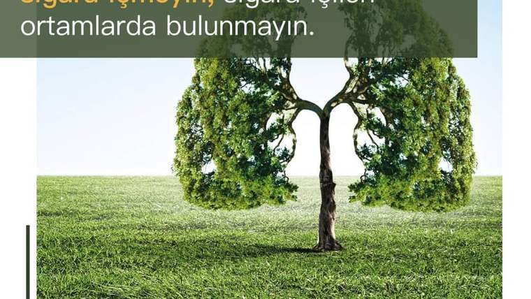 Yeşil bir ağaç, akciğer şeklinde tasarlanmış, arka planda yeşil çimenler var.