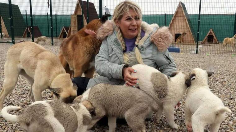 Bir kadın, etrafında birkaç köpek ve kedi ile birlikte oturuyor.