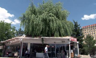 Sivas'ta Kafenin Ortasından Yükseliyor!