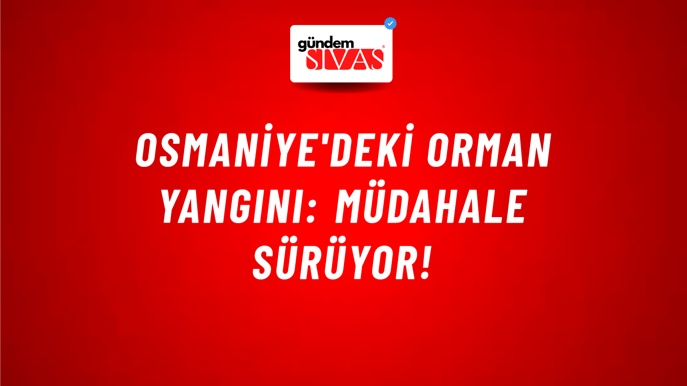 Osmaniye'deki orman yangını: Müdahale sürüyor!